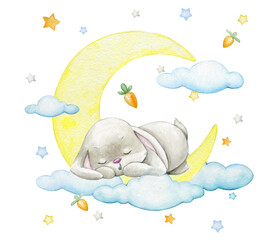A cute bunny sleeps on the moon against a background of clouds of carrot stars. watercolor clipart on an isolated background.