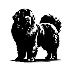 Newfoundland Dog Vector Silhouette - Capturing the Majestic Presence and Endearing Nature of this Beloved Large Breed- Newfoundland Illustration.