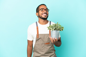 Gardener latin man holding a plant isolated on blue background thinking an idea while looking up