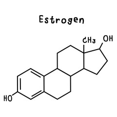 Fototapeta premium estrogen illustration