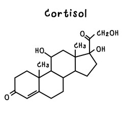 cortisol illustration
