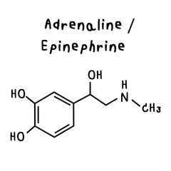 adrenaline or epinephrine illustration