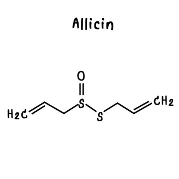 allicin illustration