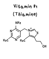 Fototapeta premium Vitamin B1_Thiamine illustration