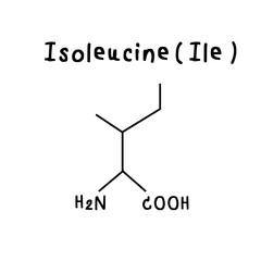Isoleucine chemical structure illustration