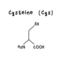 Cysteine chemical structure illustration