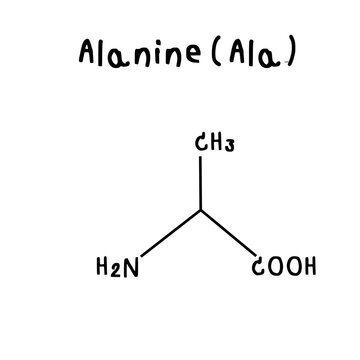 alanine chemical structure illustration