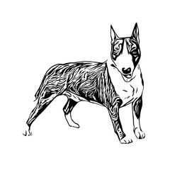 sketch of a dog with a transparent background