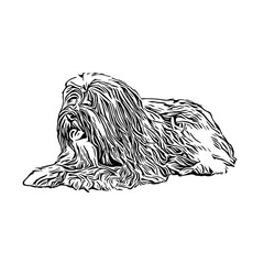 sketch of a dog with a transparent background