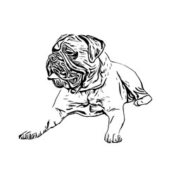 sketch of a dog with a transparent background