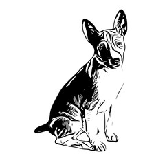 sketch of a dog with a transparent background