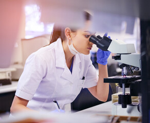Microscope, analyse and woman scientist in laboratory for research or medical breakthrough. Female...