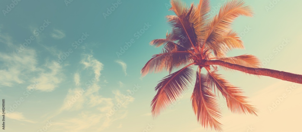 Poster a tropical palm tree against a sunny sky background with space for adding a personal touch perfect f