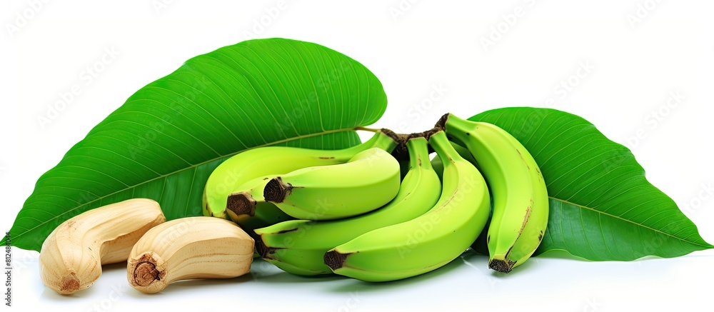 Poster white background with cashew nuts and a green leaf copy space image