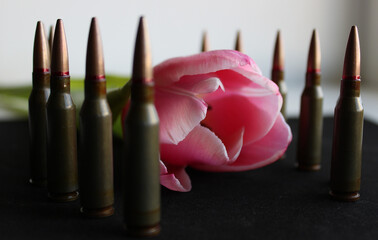 Guard Of Honor Concept Image. Bullets Stands Around Single Pink Tulip On Green Stem Angle View
