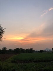 sunset over the field