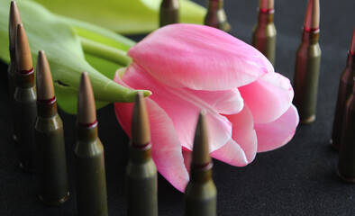 Conceptual photo on the theme of mourning and honoring the memory of war victims. Blooming flower...