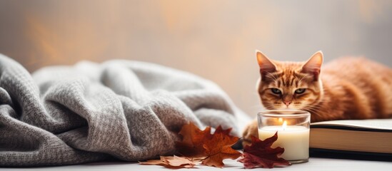 Autumnal coziness featuring a ginger cat soft plaid coffee and a book creating a cozy and comforting atmosphere Embracing the concept of a cozy home and hygge with ample copy space for a personal tou