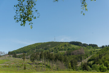 View to the mountain called Bollerberg near the german city Hallenberg