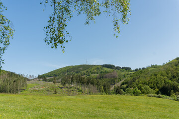 View to the mountain called Bollerberg near the german city Hallenberg