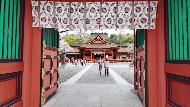 Fujinomiya, Japan &ndash; April 8, 2024: People visit Fujisan Hongu Sengen Taisha Shinto Shrine where cherry blossoms are blooming or Sakura on a rainy day at Shizuoka, Japan.