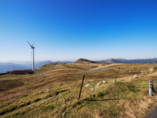 四国高知県のカルスト台地  天狗高原
