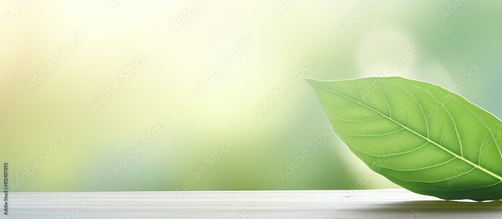 Aufkleber a close up view of a green leaf is placed against a blurred background creating a natural and fresh 