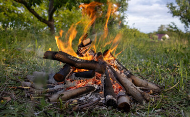 Outdoor campfire ablaze with flames and logs
