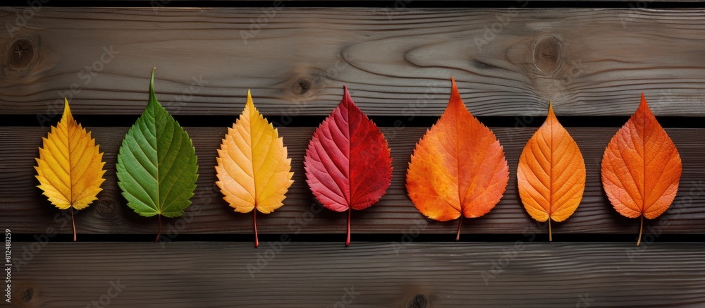Aufkleber autumn colored leaves arranged in frames against a wooden backdrop providing ample copy space for im