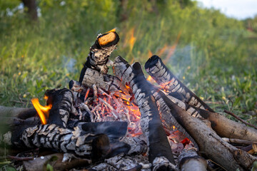 Bread toasting on a stick over a rustic campfire surrounded by glowing embers in a natural setting