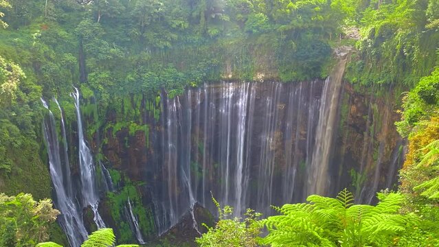 Timelapse of immense waterfall in wet lush jungle, Reunion Island