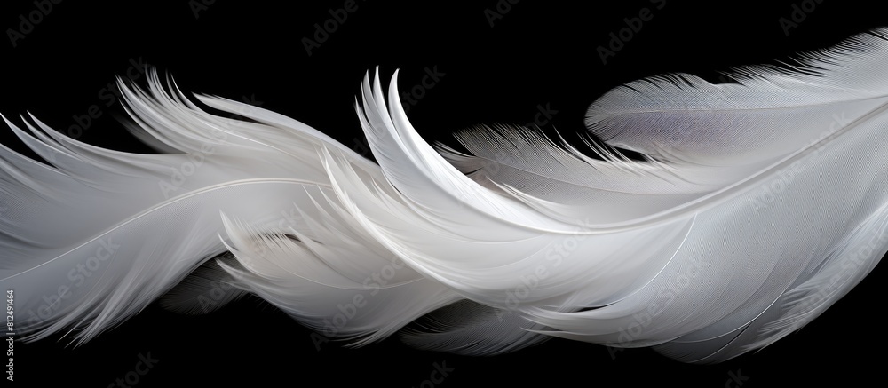 Aufkleber Abstract white feathers gracefully descending in the darkness creating a captivating visual against the black backdrop Ideal for copy space images