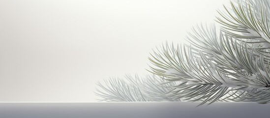 A copy space image of evergreen pine needles adorned with white elements