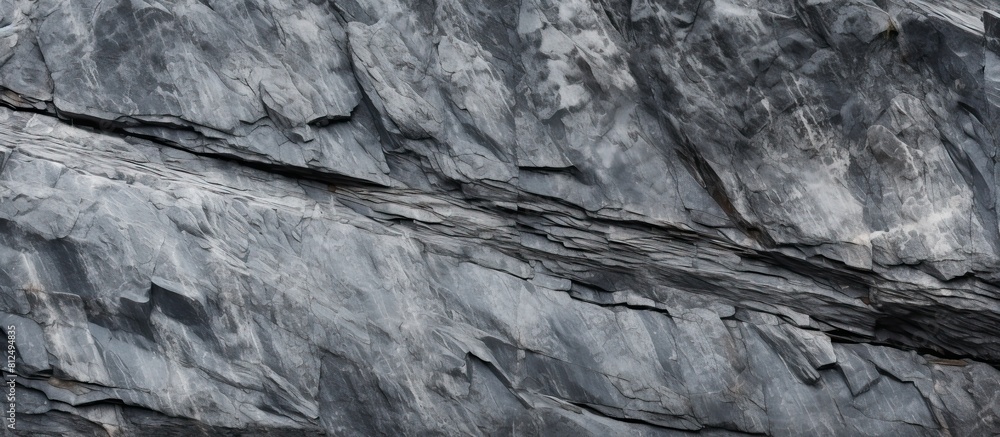 Poster Copy space image of a gray stone with an embossed surface showcasing a textured granite pattern