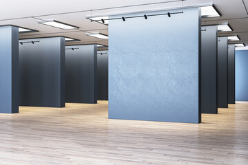 An empty gallery space with blank blue walls, wooden flooring, and a contemporary design on an...