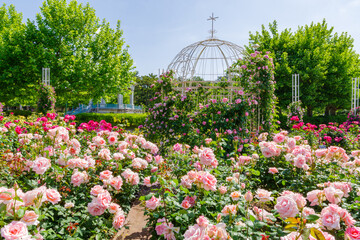 薔薇の庭園（名古屋市）