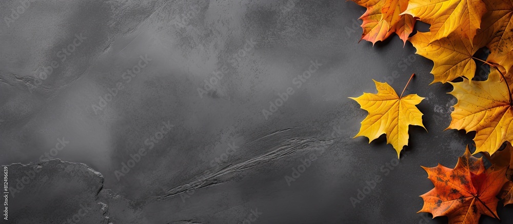 Poster Fall nature background with a copy space image featuring maple leaves in shades of orange and yellow on a gray slate tile