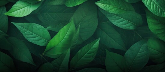 A copy space image featuring a textured leaf wallpaper with green leaves creates a natural background providing ample space for text