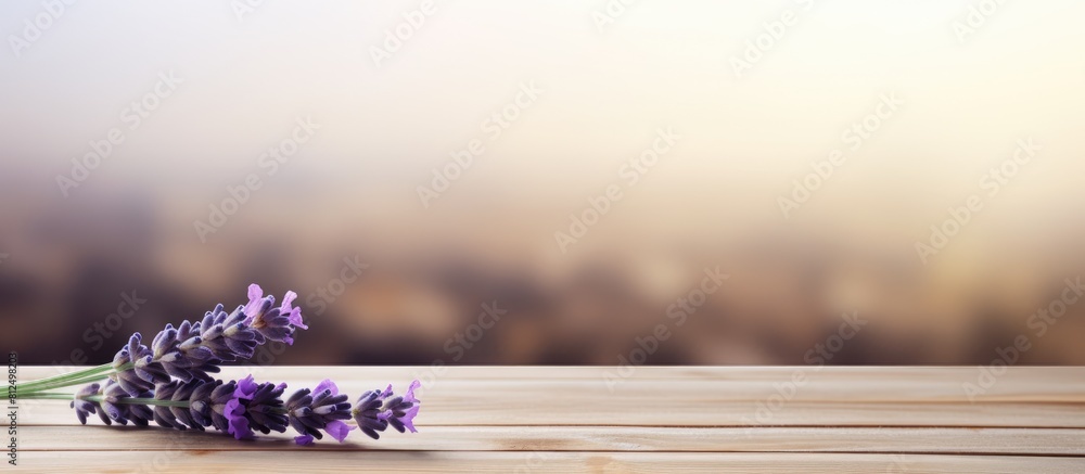 Poster a copy space image showcases a lavender flower in vibrant purple beautifully displayed on a rustic w
