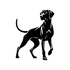 Obraz premium Silhouette of Rhodesian Ridgeback - Minimalist Rhodesian Ridgeback Vector - Rhodesian Ridgeback Illustration.
