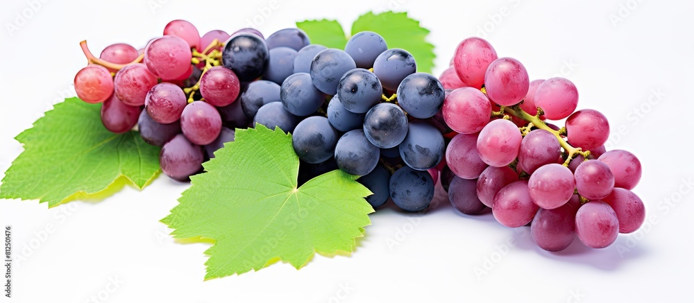 Poster a layout of green pink and blue grapes with leaves isolated on a white background the image includes