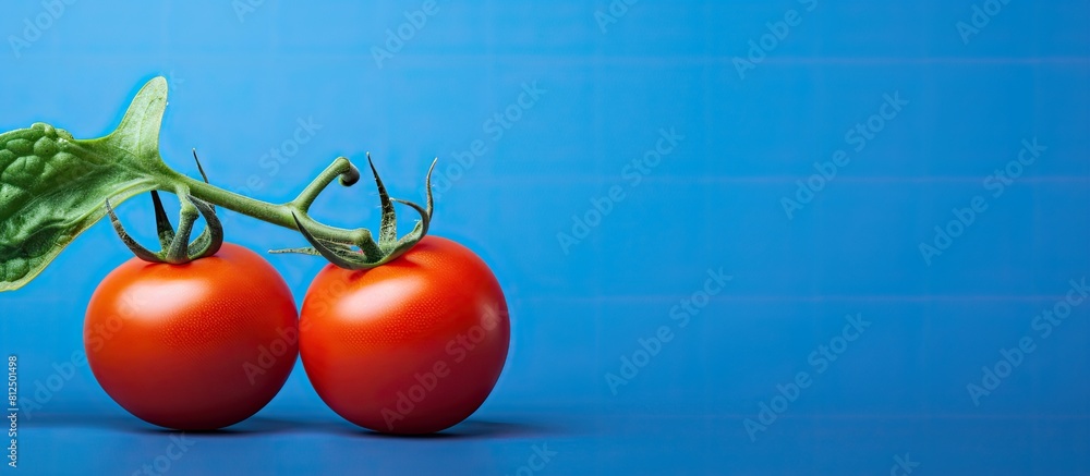 Poster the left side of the image features a fresh cherry tomato with its stem standing out against a blue 