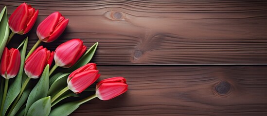 In a spring park a grouping of red tulips is arranged over a wooden table forming a valentine s day background The top view of this scene offers a copy space image