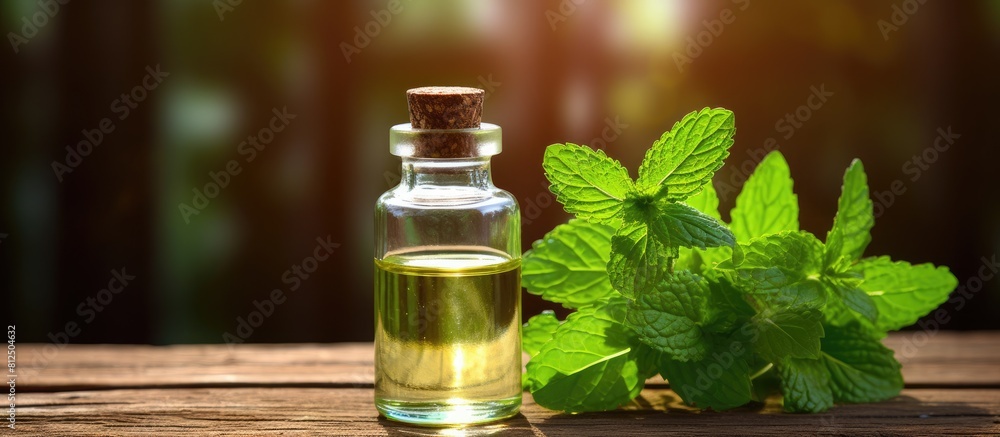Poster a bottle of refreshing essential oil and fresh mint placed on a rustic wooden table with plenty of r
