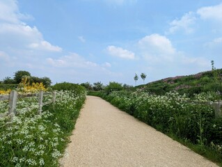 Gravel path with wooden fence and blooming wild flowers against a summer blue sky background