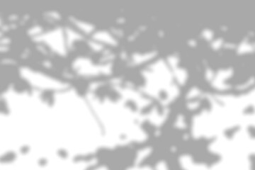 Background of organic shadow over white textured wall