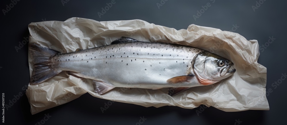 Poster Trout fish on gray background with copy space image wrapped in paper