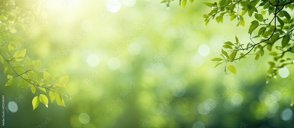 Poster Green nature abstract background with sunlight filtering through trees and bokeh effect Perfect to use as a copy space image