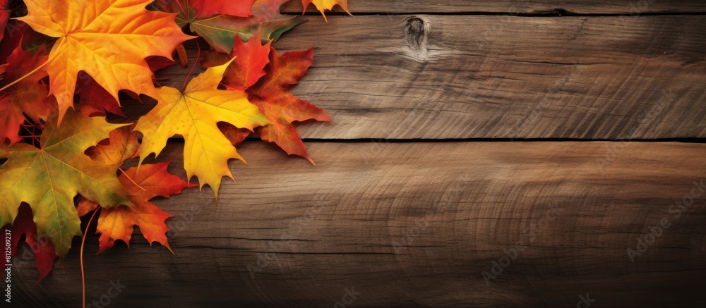 Poster autumn themed card featuring autumn lettering and a copy space image of maple leaves on a tree branc