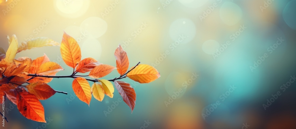 Poster autumn time with a picturesque background of beautiful colorful tree leaves in a natural setting cre